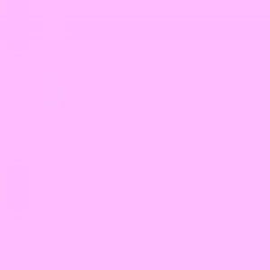 Meet your Posher, Mia